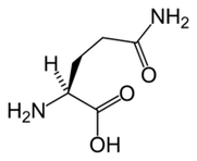 L-glutamine sa keto diyeta